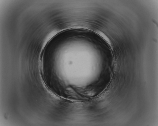 X0000091311096200708241108