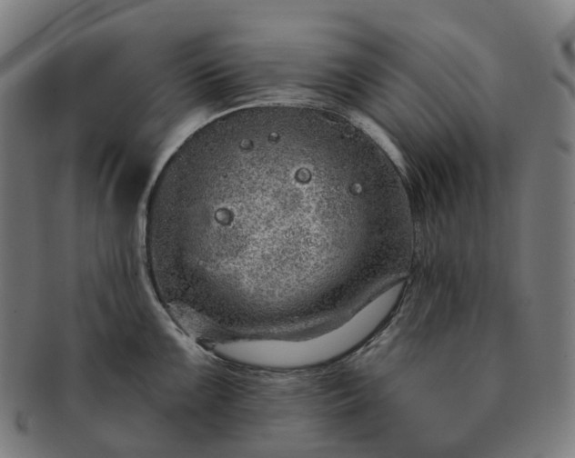 X0000091311099200708241108