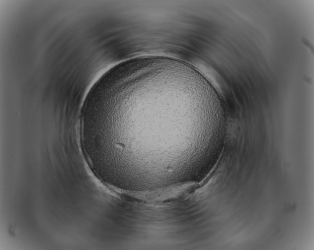 X0000091311100200708241108