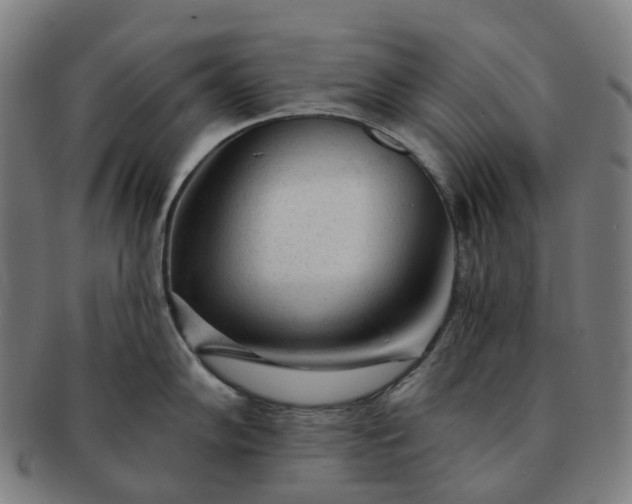 X0000091311102200708241108