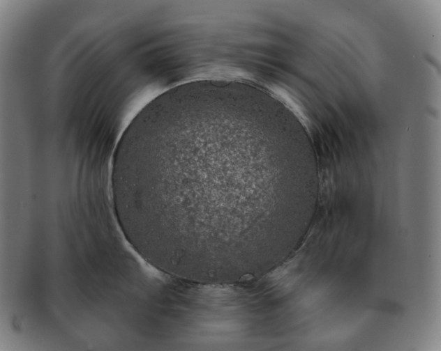 X0000091311103200708241108