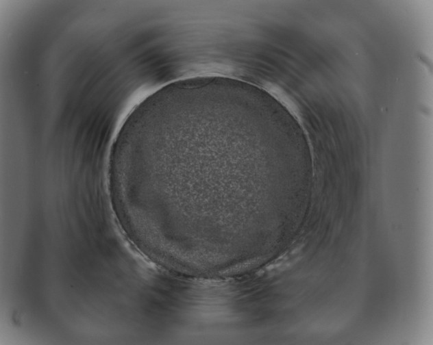 X0000091311104200708241108