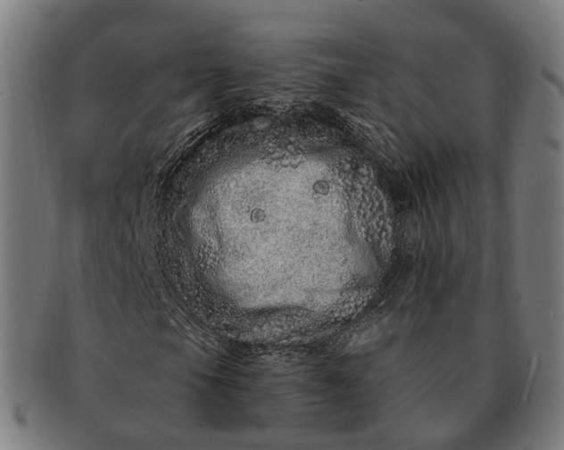 X0000091311105200708241107