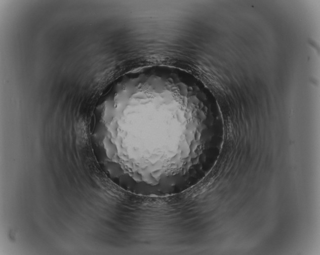 X0000091311106200708241107