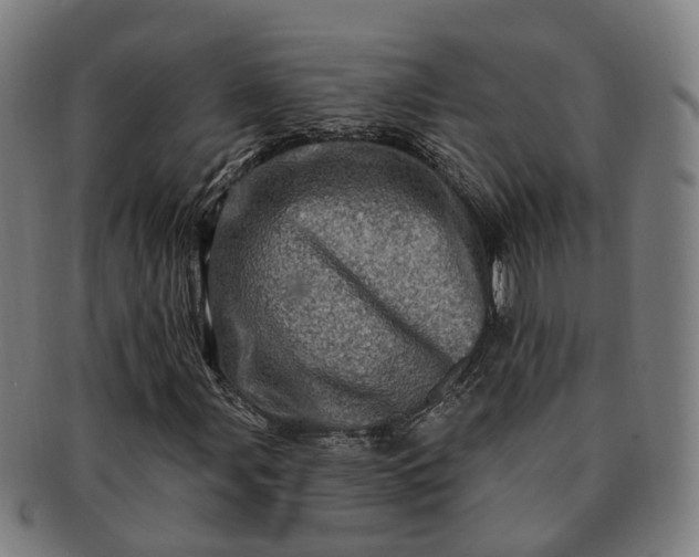 X0000091311107200708241107