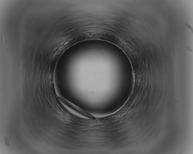 X0000091311108200708241107