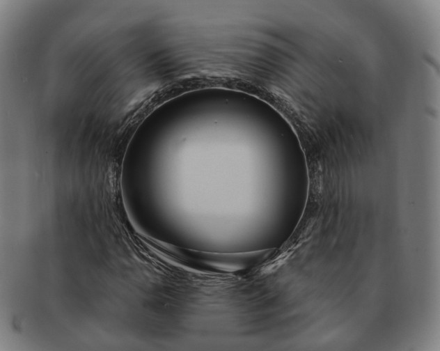 X0000091311110200708241107