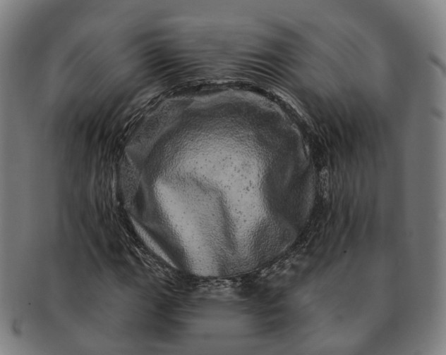 X0000091311111200708241107