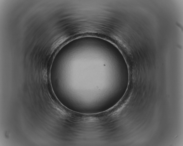 X0000091311113200708241107