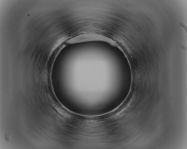 X0000091311114200708241107