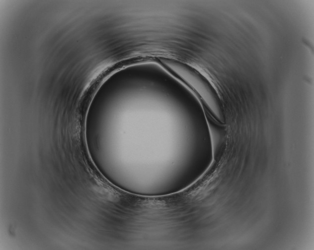 X0000091311115200708241107