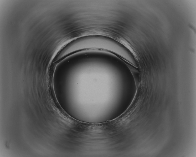 X0000091311116200708241107