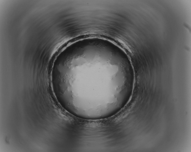 X0000091311117200708241107