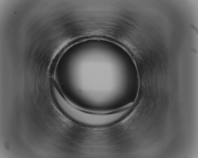 X0000091311118200708241107