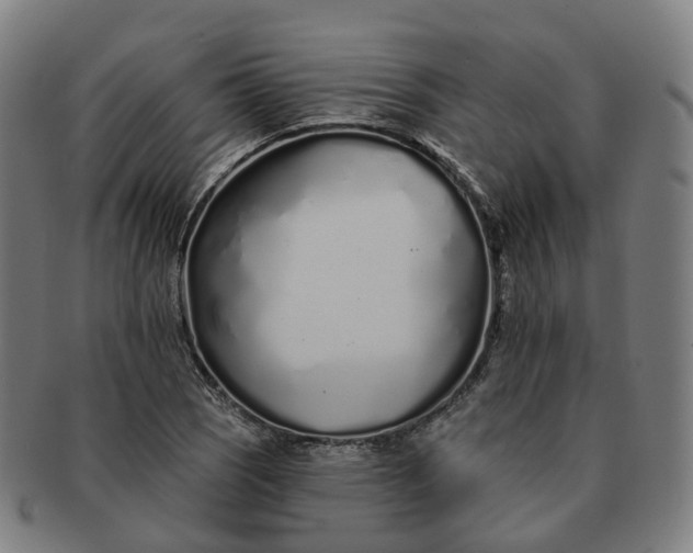 X0000091311121200708241107