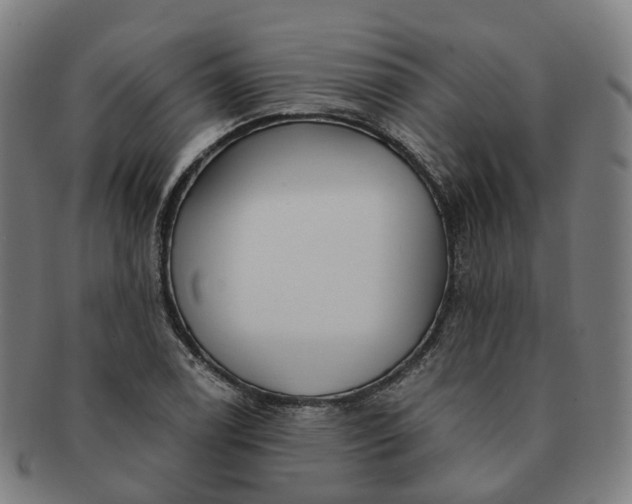 X0000091311122200708241107