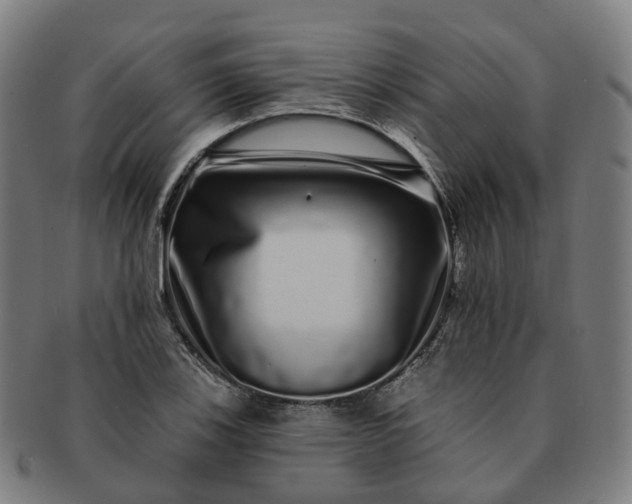 X0000091311123200708241107