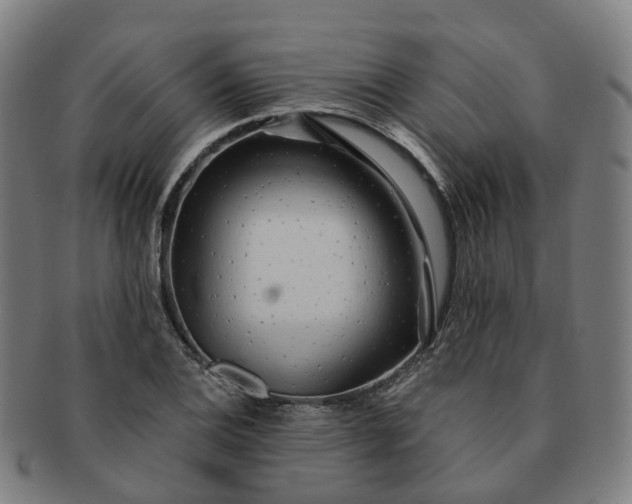 X0000091311124200708241107