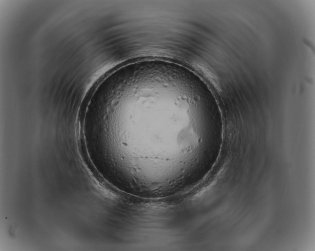 X0000091311125200708241107