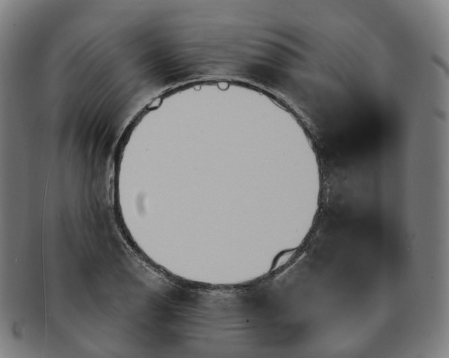 X0000091311126200708241107