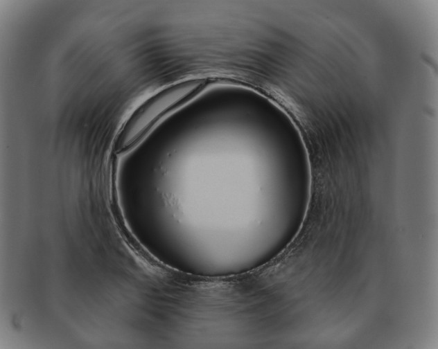 X0000091311127200708241107