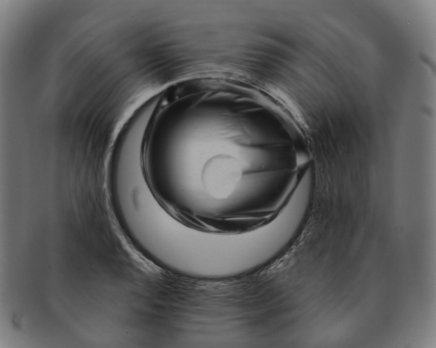 X0000091311128200708241107