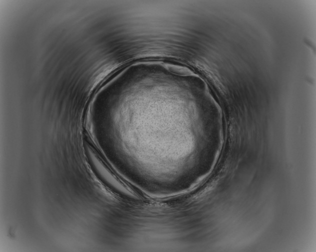 X0000091311129200708241107