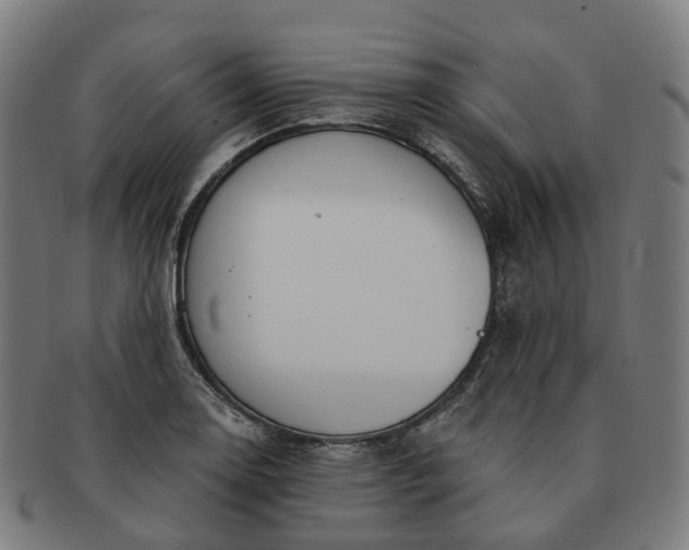 X0000091311130200708241107