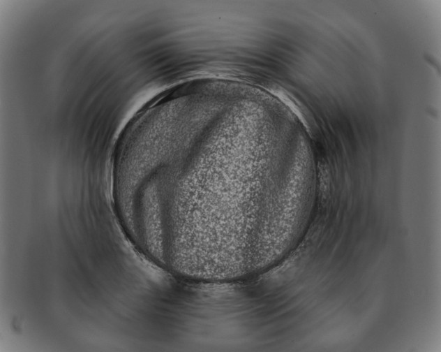 X0000091311131200708241108