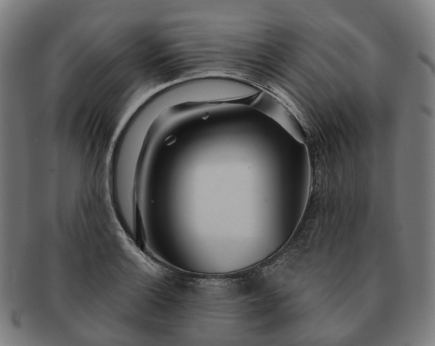 X0000091311132200708241108