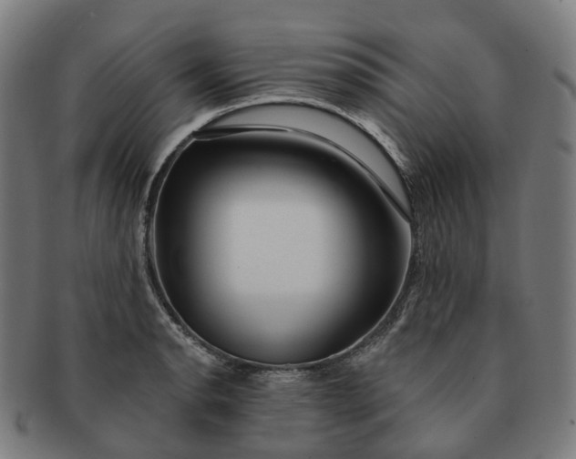 X0000091311134200708241108