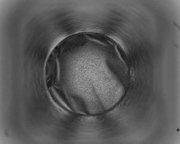 X0000091311135200708241108