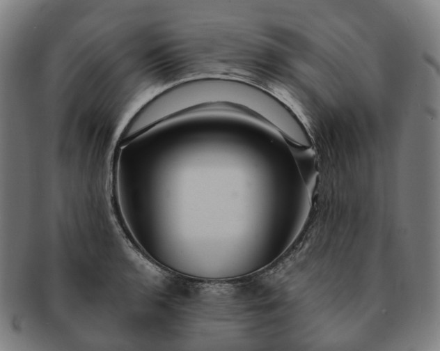 X0000091311136200708241108