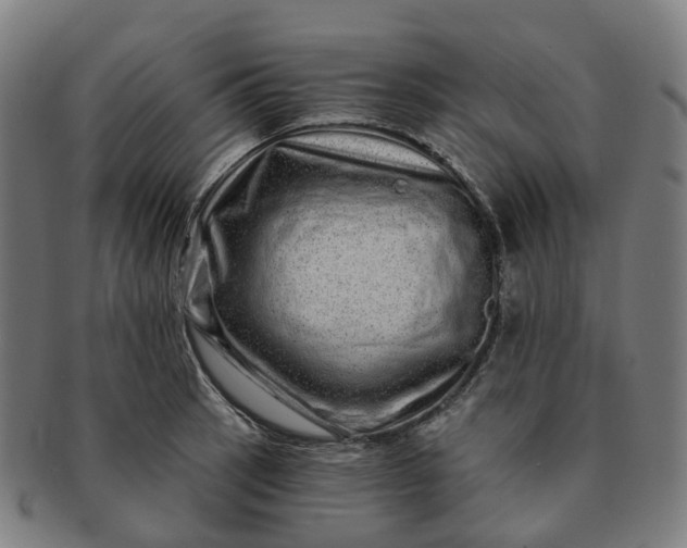 X0000091311137200708241108