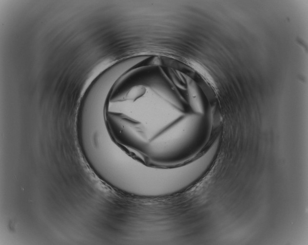 X0000091311138200708241108