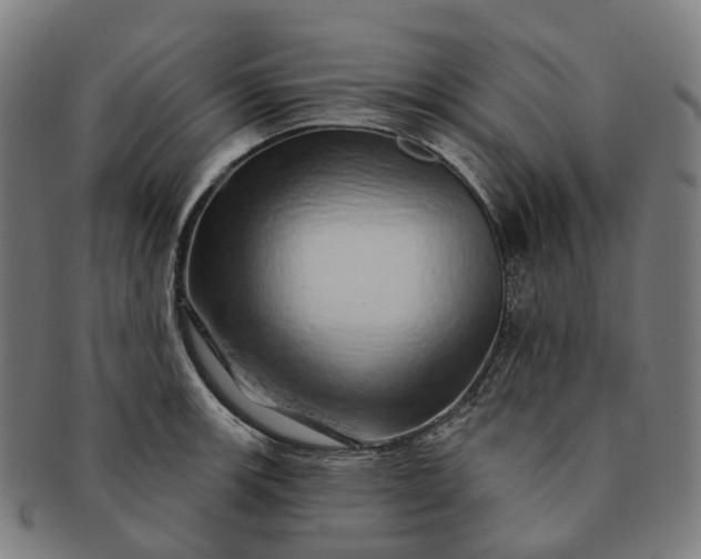 X0000091311139200708241108