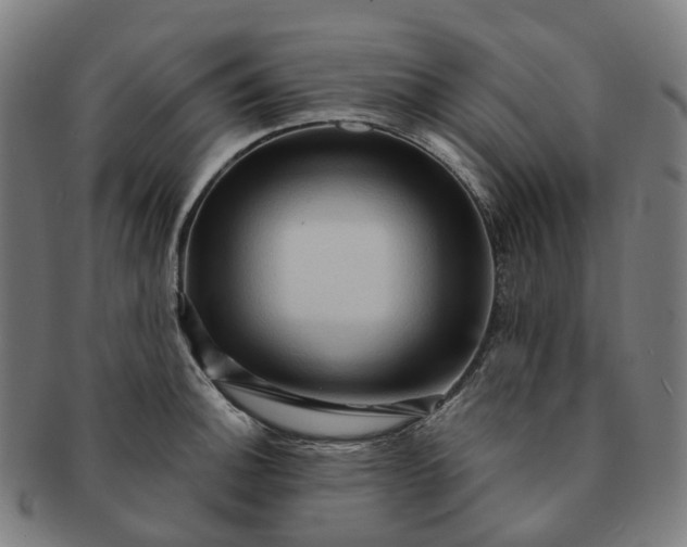 X0000091311140200708241108