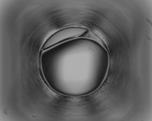 X0000091311141200708241108