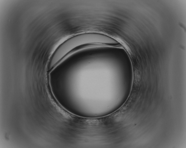 X0000091311142200708241108