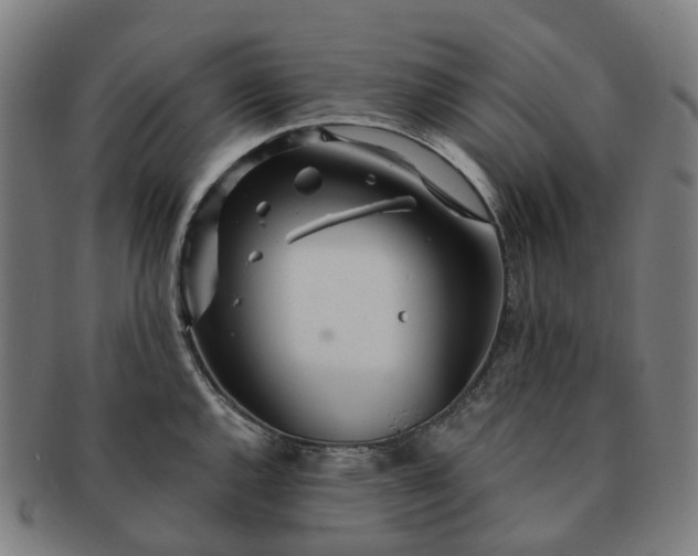 X0000091311144200708241108