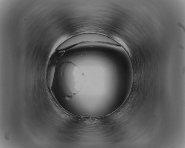 X0000091311146200708241108