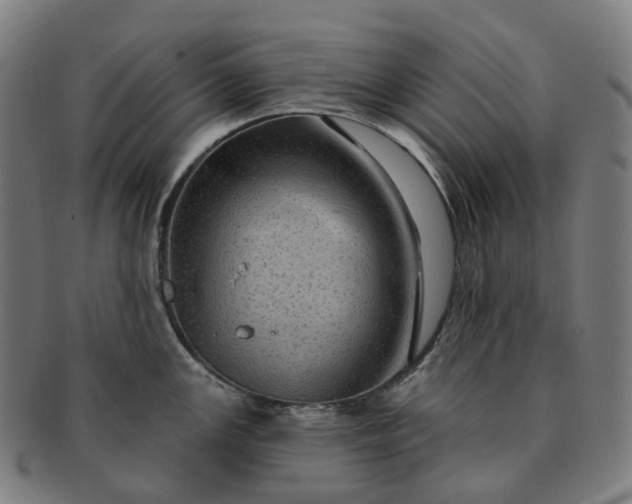 X0000091311147200708241108