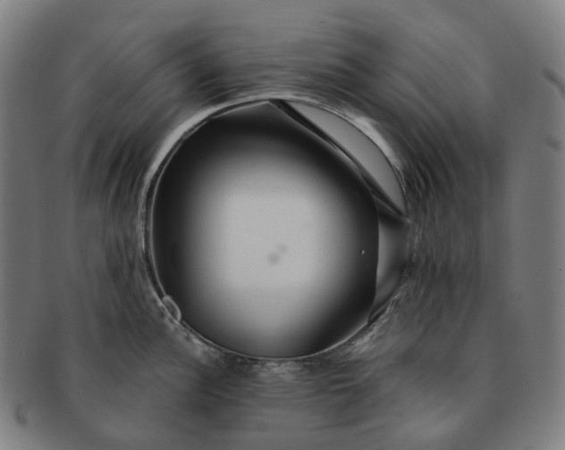 X0000091311148200708241108