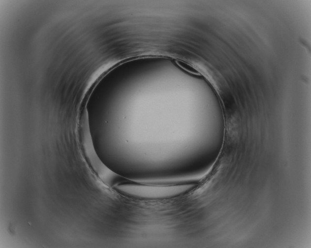 X0000091311149200708241108