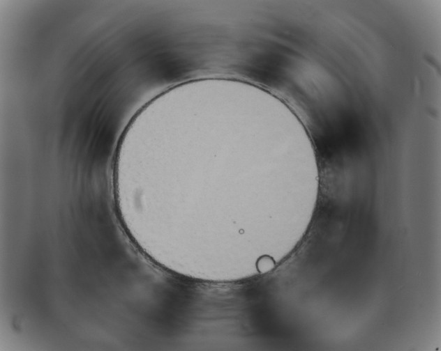 X0000091311150200708241108