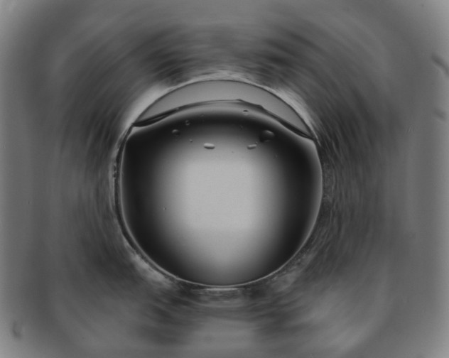 X0000091311151200708241108