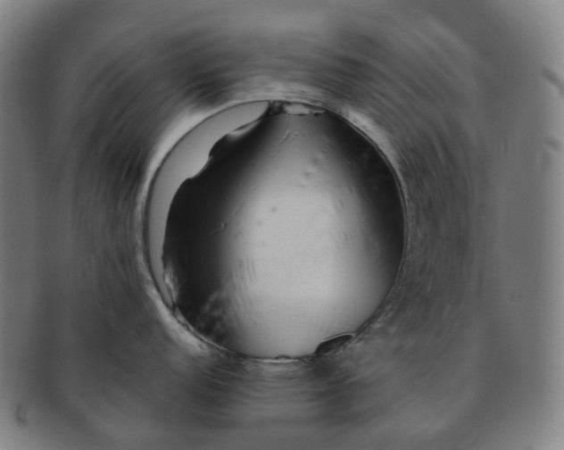 X0000091311152200708241108