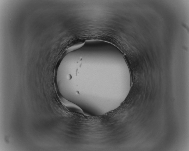 X0000091311153200708241107