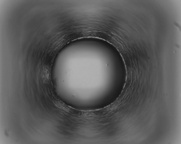 X0000091311154200708241107