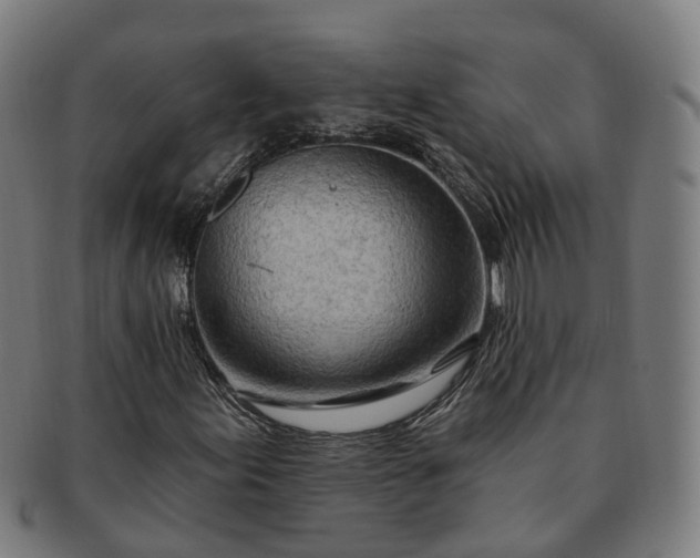 X0000091311155200708241107